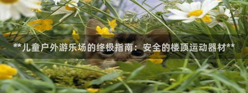 意昂体育3平台是正规平台吗安全吗：**儿童户外游乐场