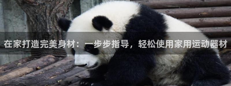 意昂3集团：在家打造完美身材：一步步指导，轻松使用家
