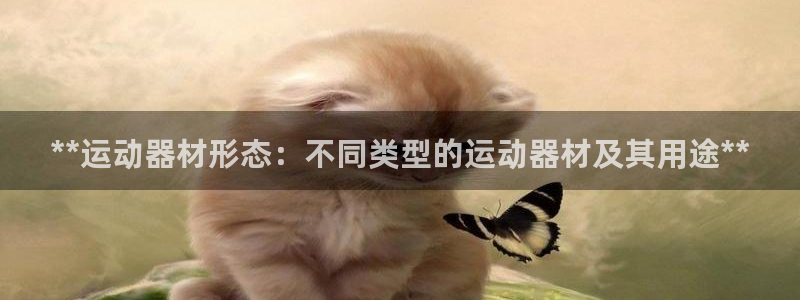 意昂3科技：**运动器材形态：不同类型的运动器材及其