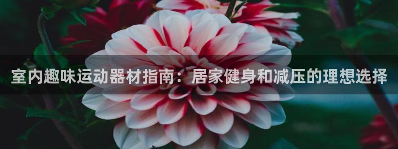 意昂体育3平台假的吗是真的吗：室内趣味运动器材指南：