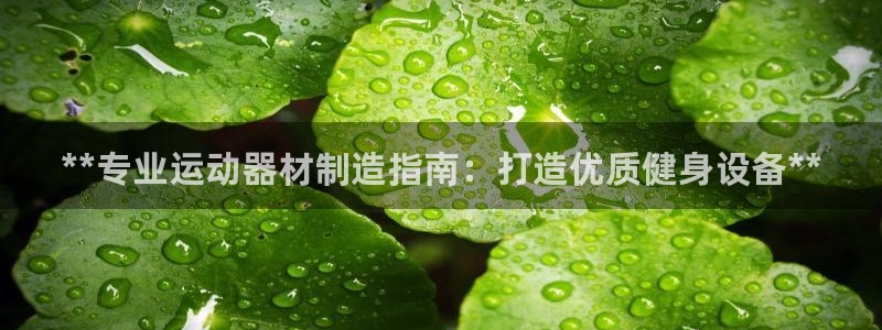 意昂体育3平台假的吗是真的吗吗：**专业运动器材制造