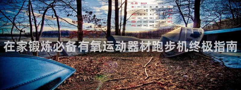 意昂3官方：在家锻炼必备有氧运动器材跑步机终极指南