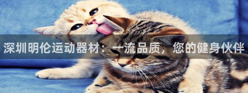 意昂体育3平台是正规平台吗：深圳明伦运动器材：一流品