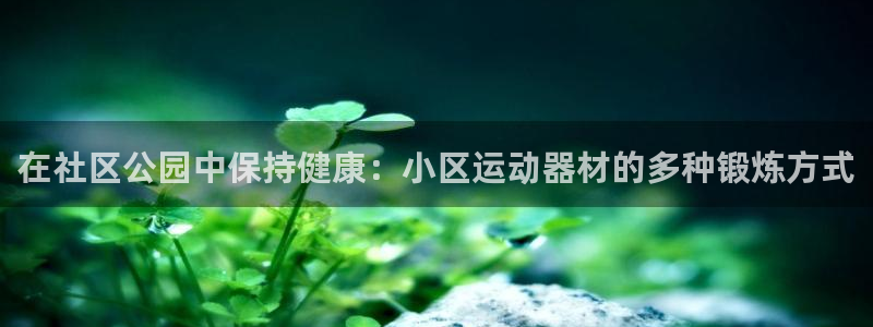 意昂3神州：在社区公园中保持健康：小区运动器材的多种