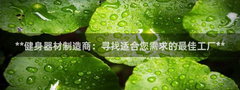 意昂3娱乐平台：**健身器材制造商：寻找适合您需求的