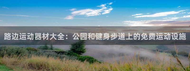 意昂体育3招商电话号码：路边运动器材大全：公园和健身