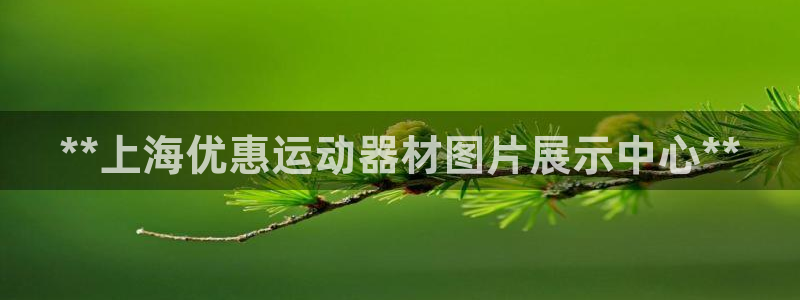 意昂平台体育：**上海优惠运动器材图片展示中心**