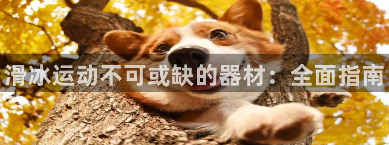 意昂体育3招商电话号码是多少啊：滑冰运动不可或缺的器