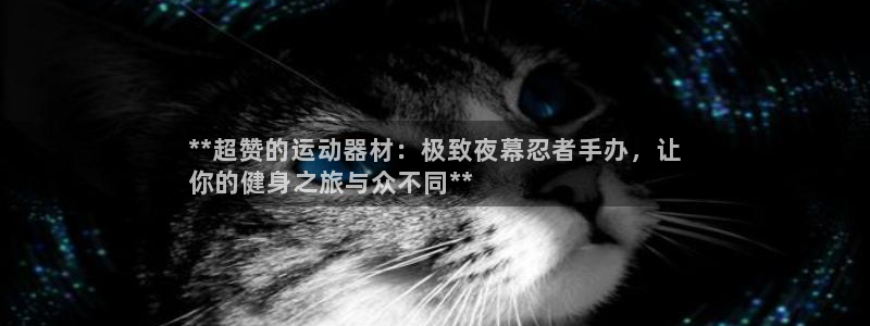 意昂3娱乐平台：**超赞的运动器材：极致夜幕忍者手办
