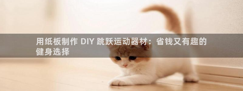 意昂体育3招商电话地址查询：用纸板制作 DIY 跳跃