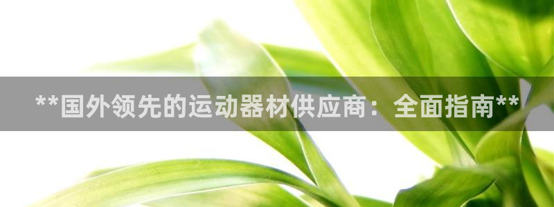 意昂3新能源：**国外领先的运动器材供应商：全面指南