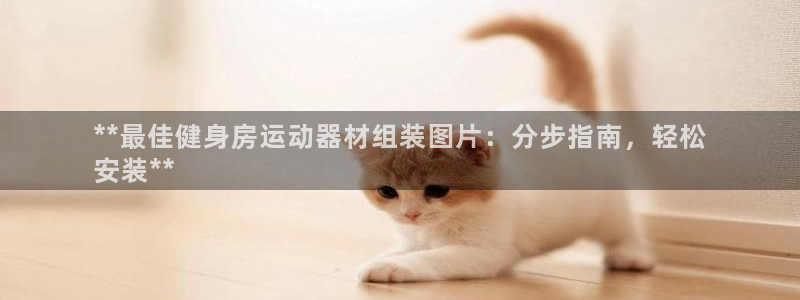 意昂体育3平台注册要钱吗：**最佳健身房运动器材组装