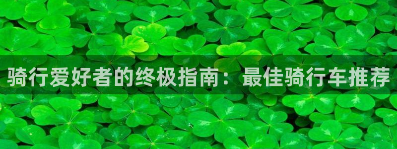 意昂体育3平台是正规平台吗：骑行爱好者的终极指南：最
