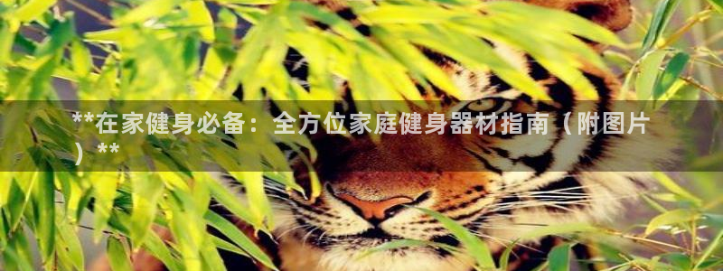 意昂体育3平台注册流程视频：**在家健身必备：全方位