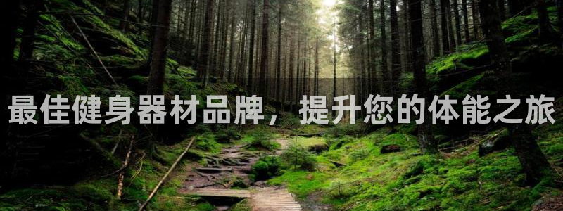 意昂体育3娱乐：最佳健身器材品牌，提升您的体能之旅