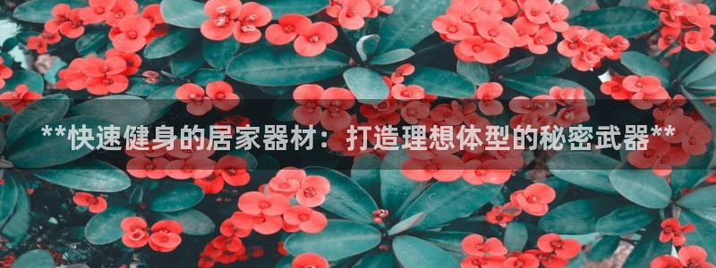 意昂体育3招商电话号码是多少号：**快速健身的居家器