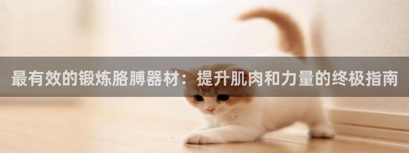 意昂体育3招商电话地址是多少：最有效的锻炼胳膊器材：