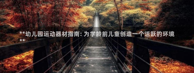 意昂体育3招商电话号码：**幼儿园运动器材指南: 为