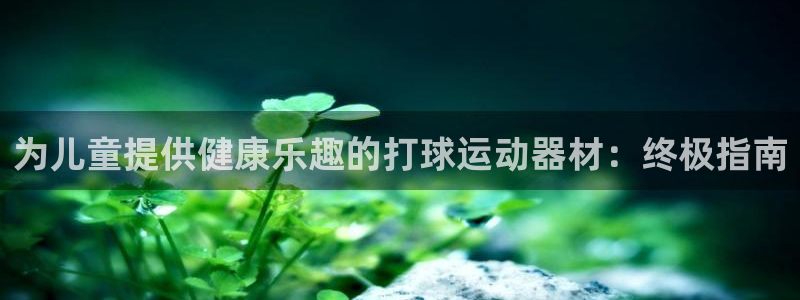 意昂体育3联系电话：为儿童提供健康乐趣的打球运动器材