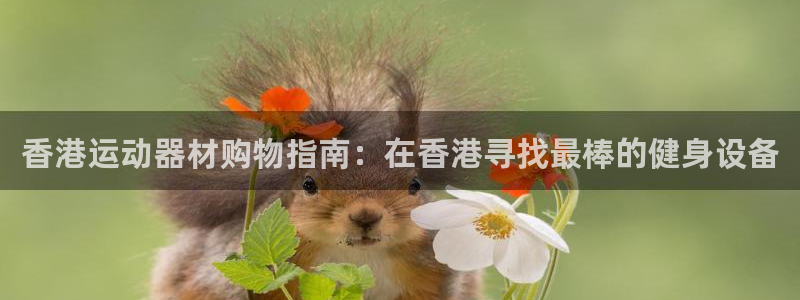意昂3集团官网首页网址：香港运动器材购物指南：在香港