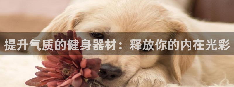 意昂3娱乐：提升气质的健身器材：释放你的内在光彩