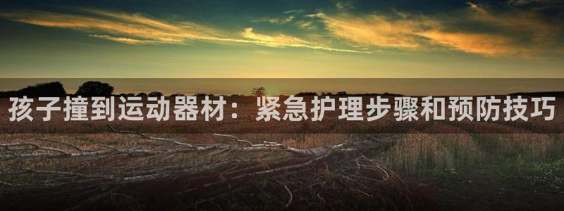 意昂体育3平台是正规平台吗安全吗：孩子撞到运动器材：
