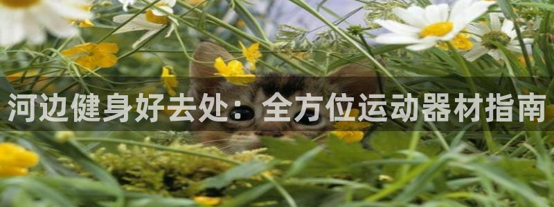 意昂体育3招商电话号码是多少：河边健身好去处：全方位