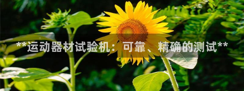 意昂体育3官方客服电话：**运动器材试验机：可靠、精