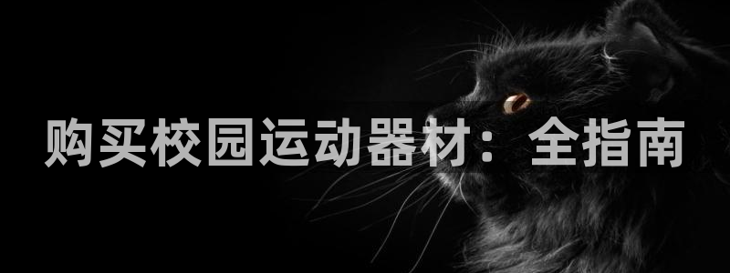 意昂3集团官网首页网址：购买校园运动器材：全指南