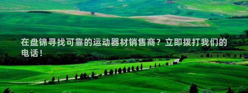 意昂3集团E.ON：在盘锦寻找可靠的运动器材销售商？