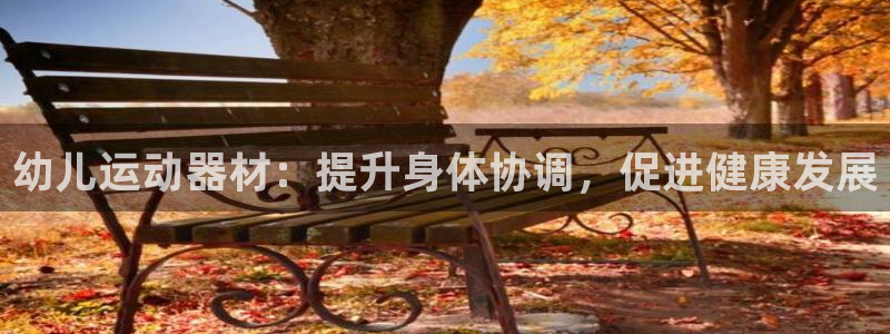 意昂3官网：幼儿运动器材：提升身体协调，促进健康发展