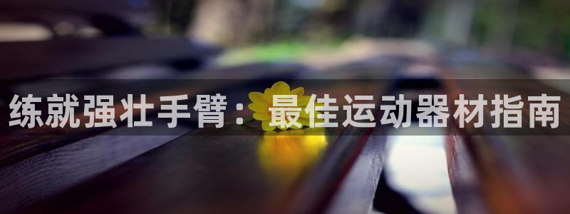 意昂体育3是干嘛的公司：练就强壮手臂：最佳运动器材指