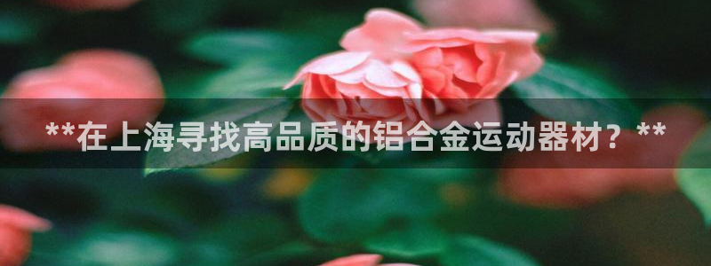 意昂3娱乐首页网站大全：**在上海寻找高品质的铝合金