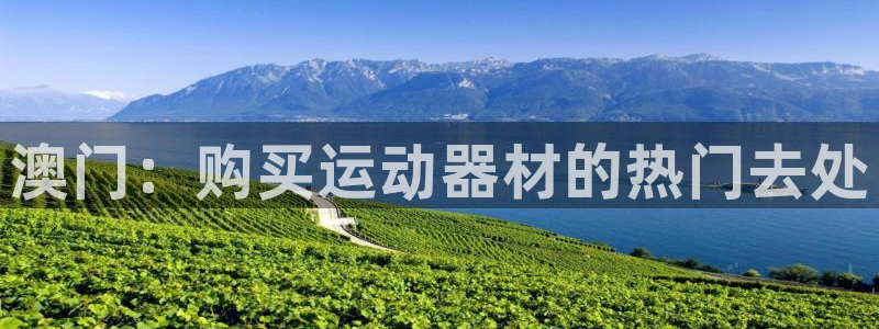 意昂体育3联系电话：澳门：购买运动器材的热门去处