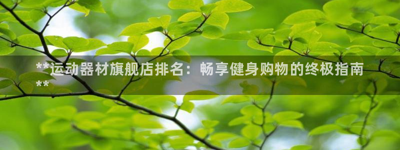 意昂体育3平台：**运动器材旗舰店排名：畅享健身购物