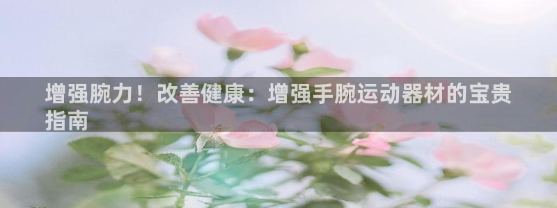 意昂3代理：增强腕力！改善健康：增强手腕运动器材的宝