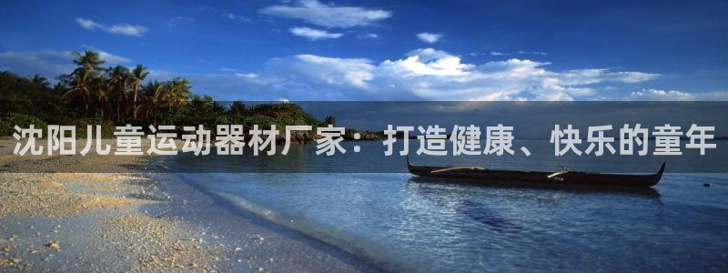 意昂体育3招商电话是多少号码：沈阳儿童运动器材厂家：