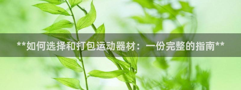 海南意昂体育3：**如何选择和打包运动器材：一份完整