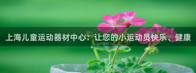 海南意昂体育3发展怎么样：上海儿童运动器材中心：让您