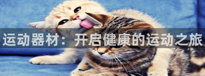 意昂体育3平台假的吗是真的吗吗：运动器材：开启健康的