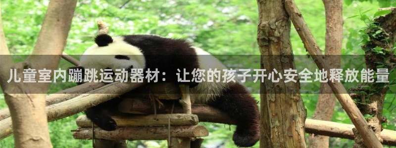 意昂体育3官方客服电话：儿童室内蹦跳运动器材：让您的