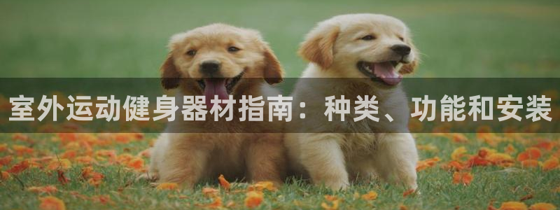 意昂体育3招商电话是多少：室外运动健身器材指南：种类