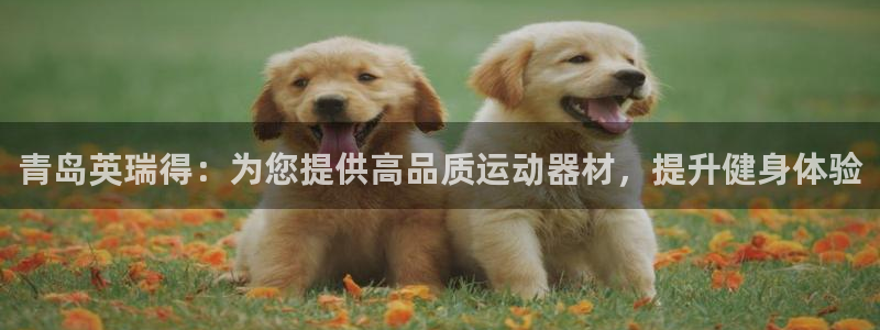 意昂体育3平台APP：青岛英瑞得：为您提供高品质运动