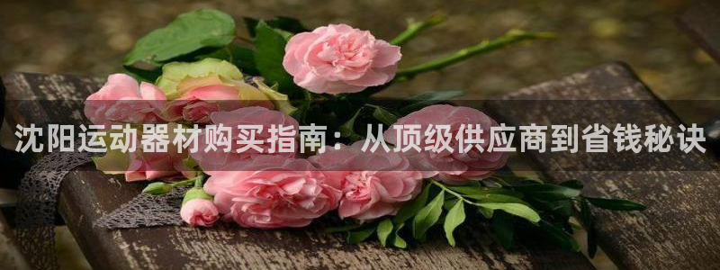 意昂体育3软件：沈阳运动器材购买指南：从顶级供应商到