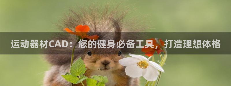 意昂3娱乐下载：运动器材CAD：您的健身必备工具，打
