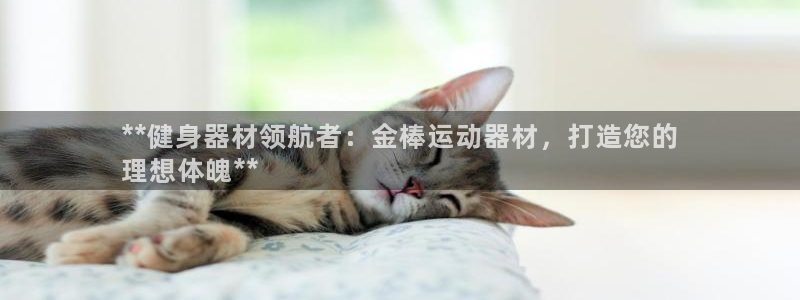 意昂3娱乐代理怎么样：**健身器材领航者：金棒运动器