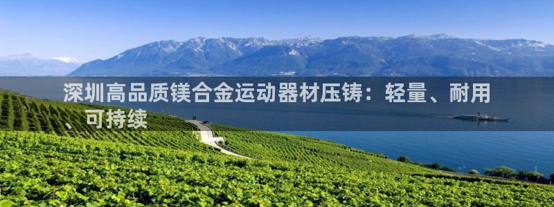 意昂体育3娱乐：深圳高品质镁合金运动器材压铸：轻量、