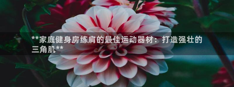 意昂3娱乐首页官网下载：**家庭健身房练肩的最佳运动