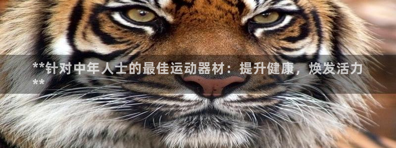 意昂体育3平台：**针对中年人士的最佳运动器材：提升