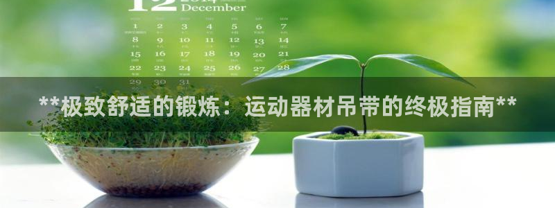 意昂集团官网：**极致舒适的锻炼：运动器材吊带的终极